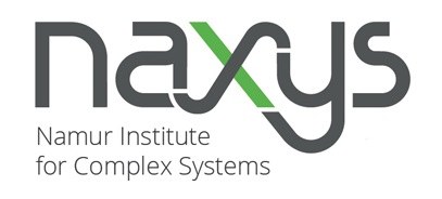 Namur Institute for Complex Systems (naXys)