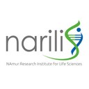Narilis